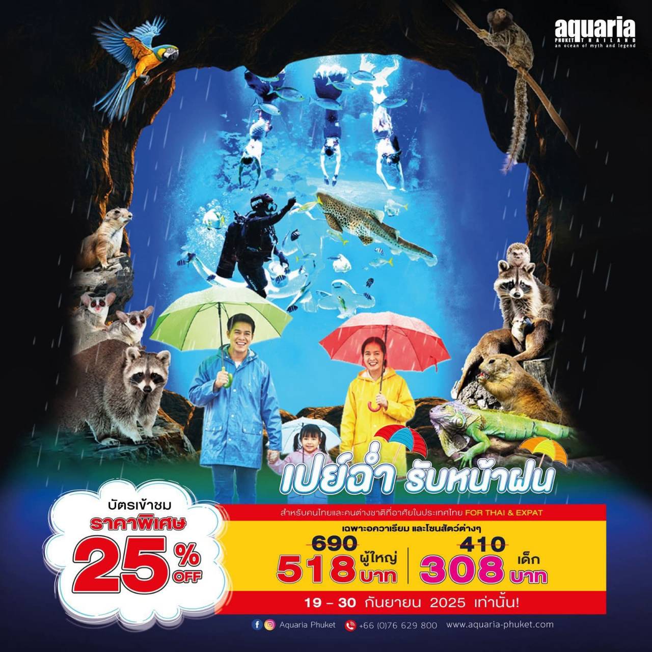 🌧️🐠 Rainy Season Splash Deals