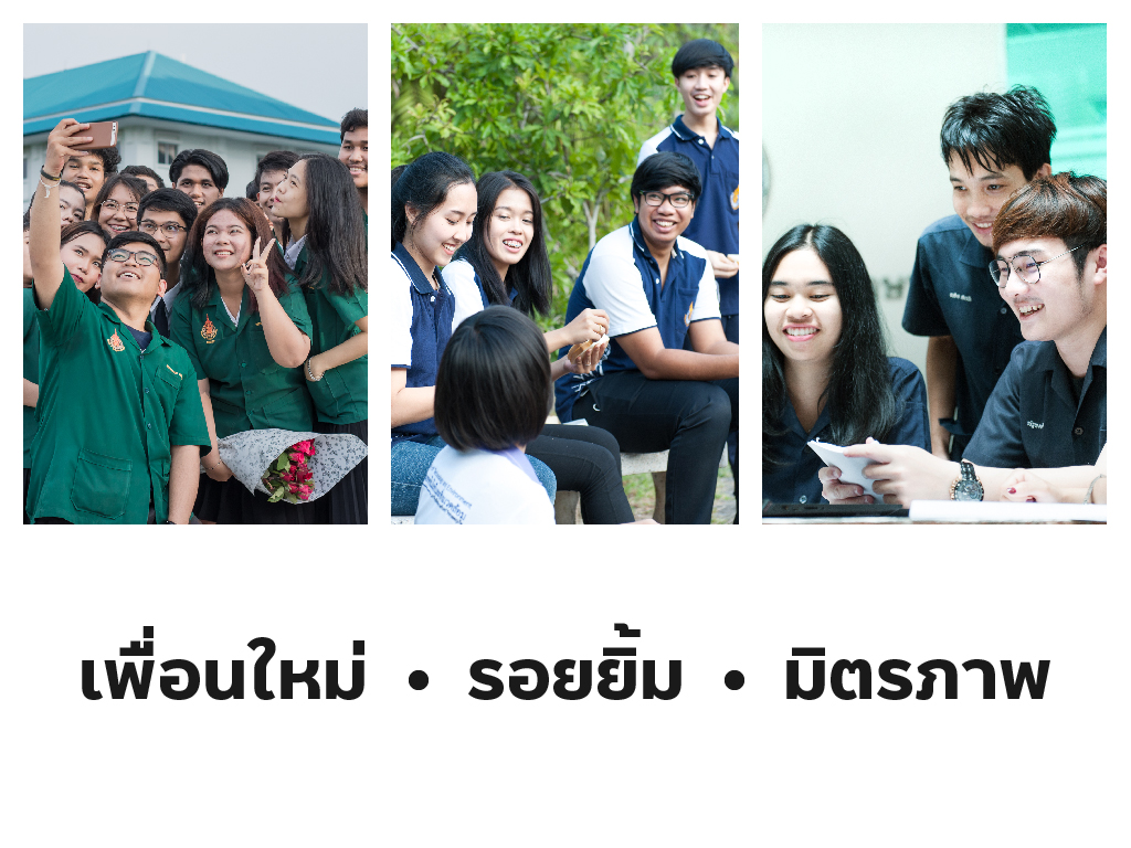 series_pic-06